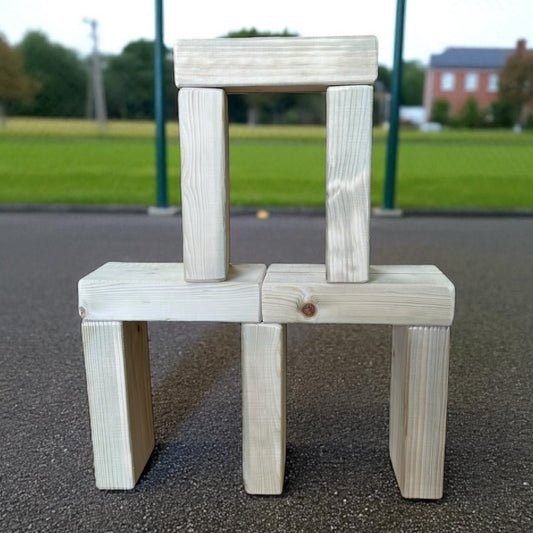 Medium Regal Indoor & Outdoor Play Brick Blocks